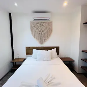 Coco Live México