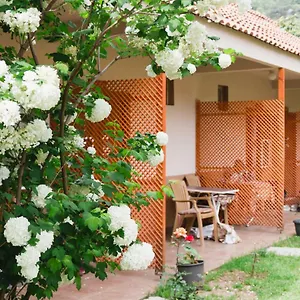 Проживание в семье Village Garden, Анталья